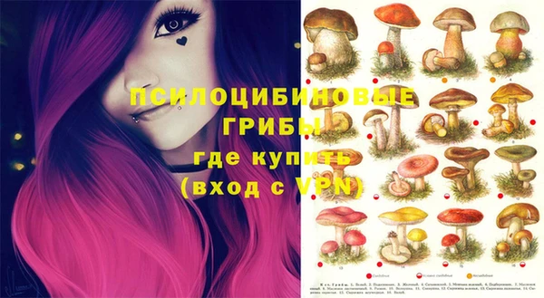 бошки Михайловка