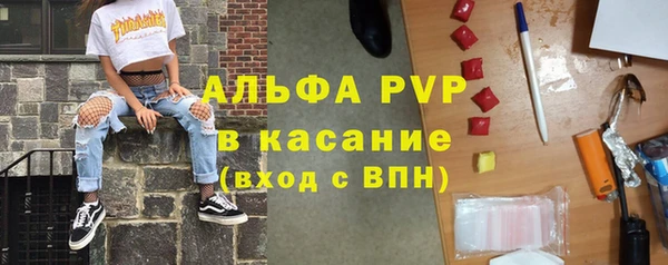 эйфоретик Михайловск