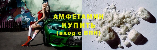 стаф Болотное