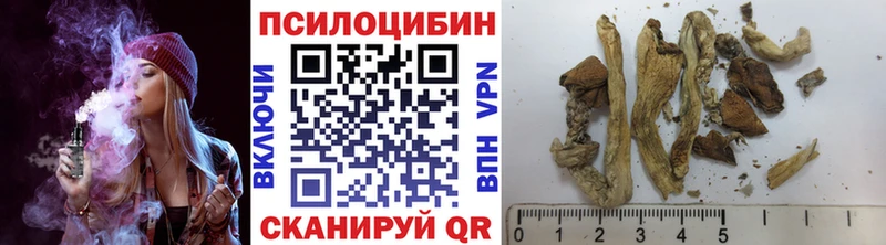 цена наркотик  Новомичуринск  Галлюциногенные грибы мицелий 