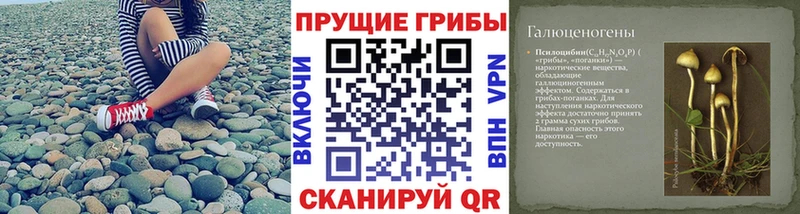 Галлюциногенные грибы прущие грибы Новомичуринск